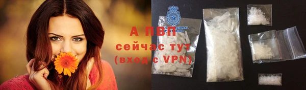 каннабис Белокуриха