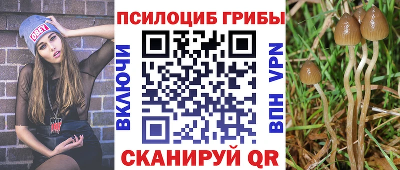 Галлюциногенные грибы GOLDEN TEACHER  hydra ССЫЛКА  Окуловка  сколько стоит 